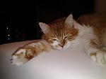     
: IMG_20120924_014322.jpg
: 16
:	76.9 
ID:	7765857