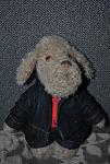     
: DSC_2245.jpg
: 8
:	109.5 
ID:	7768646