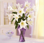     
: 3.gif
: 14
:	92.0 
ID:	7773031