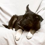     
: DSC_2574.jpg
: 13
:	81.5 
ID:	7773919