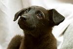     
: DSC_2533.jpg
: 14
:	65.4 
ID:	7773948