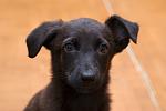     
: DSC_2476.jpg
: 11
:	59.5 
ID:	7773950