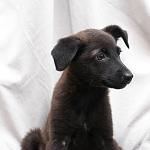     
: DSC_2528.jpg
: 14
:	68.3 
ID:	7773955
