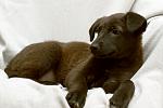     
: DSC_2585.jpg
: 11
:	89.4 
ID:	7773963