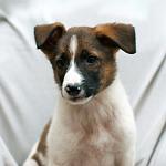     
: DSC_2478.jpg
: 4
:	57.0 
ID:	7773978