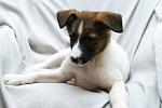     
: DSC_2480.jpg
: 8
:	91.5 
ID:	7773979