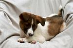     
: DSC_2545.jpg
: 7
:	99.6 
ID:	7773981