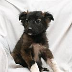     
: DSC_2501.jpg
: 5
:	74.2 
ID:	7774006