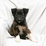     
: DSC_2507.jpg
: 9
:	78.0 
ID:	7774008