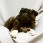     
: DSC_2606.jpg
: 6
:	78.7 
ID:	7774017