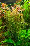     
: DSC_8398.jpg
: 9
:	149.1 
ID:	7774391