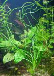     
: DSC_4514.jpg
: 5
:	119.1 
ID:	7774483