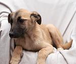     
: DSC_2514.jpg
: 185
:	92.8 
ID:	7774514
