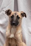     
: DSC_2515.jpg
: 159
:	54.4 
ID:	7774515