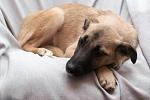     
: DSC_2508.jpg
: 133
:	108.9 
ID:	7774516