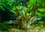     
: DSC_4523.jpg
: 7
:	93.4 
ID:	7774544