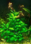     
: DSC_5062.jpg
: 6
:	108.4 
ID:	7774634