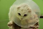     
: IMG_2515_kopia.jpg
: 14
:	59.4 
ID:	7774883