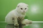     
: IMG_2520_kopia.jpg
: 16
:	60.7 
ID:	7774885