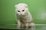     
: IMG_2524_kopia.jpg
: 16
:	56.8 
ID:	7774886