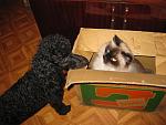     
: IMG_0032.jpg
: 8
:	129.5 
ID:	7776446