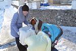     
: DSC_0174.jpg
: 24
:	160.1 
ID:	7782021