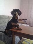    
: F43izk2ClJI.jpg
: 7
:	144.8 
ID:	7782575