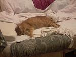     
: 20140304_004113.jpg
: 9
:	95.5 
ID:	7782587