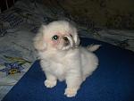     
: SAM_0284.jpg
: 37
:	109.1 
ID:	778427