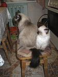     
: IMG_6020.jpg
: 6
:	87.2 
ID:	7786034