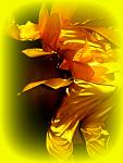     
: IMG_1860.jpg
: 12
:	60.5 
ID:	7786107