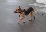     
: 2014-03-05 08.04.18.jpg
: 20
:	76.7 
ID:	7787683