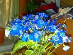     
: 23022014334.jpg
: 7
:	169.4 
ID:	7793957