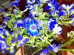     
: 23022014335.jpg
: 7
:	211.8 
ID:	7793962