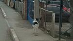     
: IMG_20140224_084042.jpg
: 9
:	126.1 
ID:	7794366