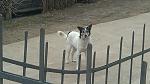     
: IMG_20140224_084100.jpg
: 13
:	109.8 
ID:	7794377
