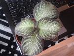     
: 2014-03-06 10.44.01.jpg
: 18
:	154.9 
ID:	7794643
