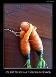    
: _g_etImage.jpeg
: 23
:	29.7 
ID:	7796495