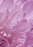     
: -3-(594)..0.jpg
: 23
:	28.4 
ID:	779731