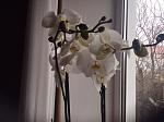     
: image.jpg
: 10
:	123.9 
ID:	7798979