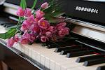     
: IMG_8709.JPG
: 49
:	80.8 
ID:	7799728