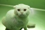     
: IMG_2559_kopia (2).jpg
: 3
:	56.2 
ID:	7803435