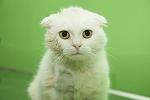     
: IMG_2560_kopia (1).jpg
: 7
:	51.4 
ID:	7803437