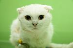     
: IMG_2548_kopia (1).jpg
: 7
:	49.4 
ID:	7803438