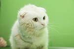     
: IMG_2561_kopia (1).jpg
: 4
:	53.3 
ID:	7803441