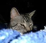     
: 20140103_000651-1.jpg
: 6
:	95.2 
ID:	7804400