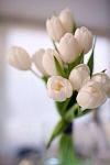     
: image.jpg
: 46
:	38.1 
ID:	7804955