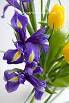     
: images.jpg
: 14
:	9.7 
ID:	7805254