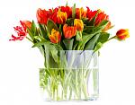     
: shutterstock_25853986.jpg
: 12
:	108.1 
ID:	7805458