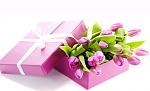     
: 8_mar.jpg
: 11
:	76.4 
ID:	7805845